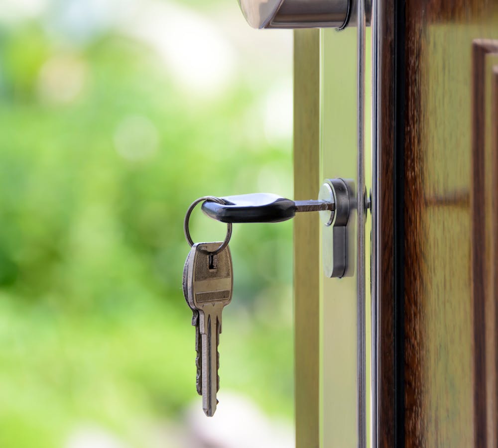 pexels-photo-101808-1