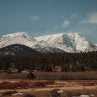 pexels-photo-30729294